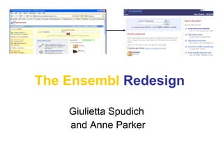 The Ensembl   Redesign Giulietta Spudich  and Anne Parker 