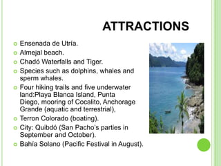 ATTRACTIONS
   Ensenada de Utría.
   Almejal beach.
   Chadó Waterfalls and Tiger.
   Species such as dolphins, whales and
    sperm whales.
   Four hiking trails and five underwater
    land:Playa Blanca Island, Punta
    Diego, mooring of Cocalito, Anchorage
    Grande (aquatic and terrestrial),
   Terron Colorado (boating).
   City: Quibdó (San Pacho’s parties in
    September and October).
   Bahía Solano (Pacific Festival in August).
 