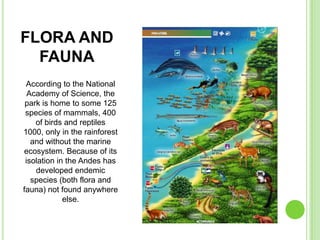 FLORA AND
  FAUNA
 According to the National
  Academy of Science, the
 park is home to some 125
 species of mammals, 400
    of birds and reptiles
1000, only in the rainforest
   and without the marine
ecosystem. Because of its
 isolation in the Andes has
    developed endemic
   species (both flora and
fauna) not found anywhere
             else.
 