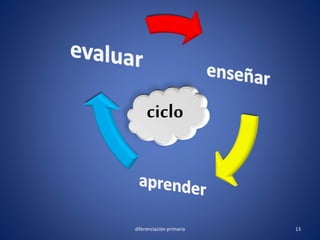 ciclo
13diferenciación primaria
 