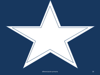 26diferenciación primaria
 
