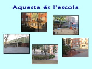 Aquesta és l'escola 