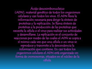 Estructura del ADN 