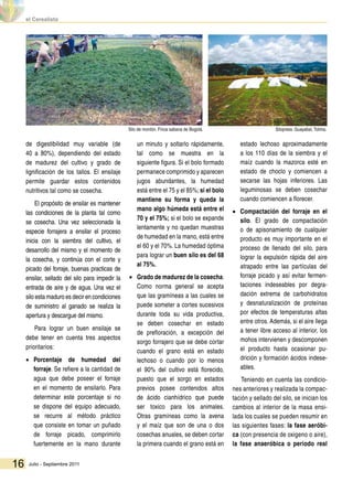 Julio - Septiembre 201116
de digestibilidad muy variable (de
40 a 80%), dependiendo del estado
de madurez del cultivo y grado de
lignificación de los tallos. El ensilaje
permite guardar estos contenidos
nutritivos tal como se cosecha.
El propósito de ensilar es mantener
las condiciones de la planta tal como
se cosecha. Una vez seleccionada la
especie forrajera a ensilar el proceso
inicia con la siembra del cultivo, el
desarrollo del mismo y el momento de
la cosecha, y continúa con el corte y
picado del forraje, buenas practicas de
ensilar, sellado del silo para impedir la
entrada de aire y de agua. Una vez el
silo esta maduro es decir en condiciones
de suministro al ganado se realiza la
apertura y descargue del mismo.
Para lograr un buen ensilaje se
debe tener en cuenta tres aspectos
prioritarios:
•• Porcentaje de humedad del
forraje. Se refiere a la cantidad de
agua que debe poseer el forraje
en el momento de ensilarlo. Para
determinar este porcentaje si no
se dispone del equipo adecuado,
se recurre al método práctico
que consiste en tomar un puñado
de forraje picado, comprimirlo
fuertemente en la mano durante
un minuto y soltarlo rápidamente,
tal como se muestra en la
siguiente figura. Si el bolo formado
permanece comprimido y aparecen
jugos abundantes, la humedad
está entre el 75 y el 85%; si el bolo
mantiene su forma y queda la
mano algo húmeda está entre el
70 y el 75%; si el bolo se expande
lentamente y no quedan muestras
de humedad en la mano, está entre
el 60 y el 70%. La humedad óptima
para lograr un buen silo es del 68
al 75%.
•• Grado de madurez de la cosecha.
Como norma general se acepta
que las gramíneas a las cuales se
puede someter a cortes sucesivos
durante toda su vida productiva,
se deben cosechar en estado
de prefloración, a excepción del
sorgo forrajero que se debe cortar
cuando el grano está en estado
lechoso o cuando por lo menos
el 90% del cultivo está florecido,
puesto que el sorgo en estados
previos posee contenidos altos
de ácido cianhídrico que puede
ser toxico para los animales.
Otras gramíneas como la avena
y el maíz que son de una o dos
cosechas anuales, se deben cortar
la primera cuando el grano está en
estado lechoso aproximadamente
a los 110 días de la siembra y el
maíz cuando la mazorca esté en
estado de choclo y comiencen a
secarse las hojas inferiores. Las
leguminosas se deben cosechar
cuando comiencen a florecer.
•• Compactación del forraje en el
silo. El grado de compactación
o de apisonamiento de cualquier
producto es muy importante en el
proceso de llenado del silo, para
lograr la expulsión rápida del aire
atrapado entre las partículas del
forraje picado y así evitar fermen-
taciones indeseables por degra-
dación extrema de carbohidratos
y desnaturalización de proteínas
por efectos de temperaturas altas
entre otros. Además, si el aire llega
a tener libre acceso al interior, los
mohos intervienen y descomponen
el producto hasta ocasionar pu-
drición y formación ácidos indese-
ables.
Teniendo en cuenta las condicio-
nes anteriores y realizada la compac-
tación y sellado del silo, se inician los
cambios al interior de la masa ensi-
lada los cuales se pueden resumir en
las siguientes fases: la fase aeróbi-
ca (con presencia de oxigeno o aire),
la fase anaeróbica o periodo real
Silo de montón. Finca sabana de Bogotá. Silopress. Guayabal, Tolima.
 