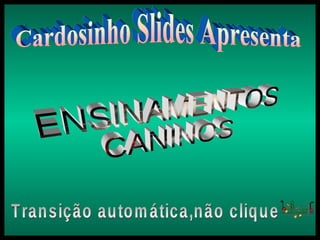 Cardosinho Slides Apresenta ENSINAMENTOS CANINOS Transição automática,não clique 