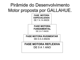 Pirâmide do Desenvolvimento Motor proposta por GALLAHUE. FASE MOTORA REFLEXIVA DE 0 A 1 ANO FASE MOTORA RUDIMENTAR DE 0 A 2 ANOS FASE  MOTORA ESPECIALIZADA DE 7 A 14 ANOS FASE MOTORA FUNDAMENTAL DE 2 A 7 ANOS 