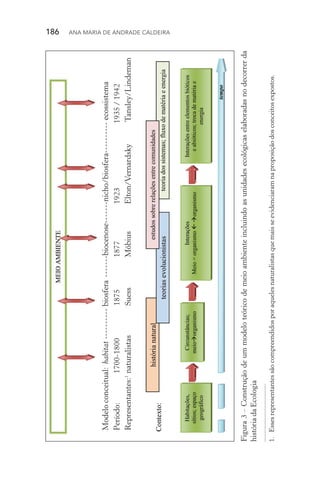 186  Ana Maria de Andrade Caldeira
Figura3–Construçãodeummodeloteóricodemeioambienteincluindoasunidadesecológicaselaboradasnodecorrerda
históriadaEcologia
Modeloconceitual:habitat-----------biosfera­--------biocenose­-------nicho/biosfera­----------ecossistema
Período:	1700­‑1800	1875	1877	1923	1935/1942
Representantes:1
	naturalistas	Suess	Möbius	Elton/Vernardsky	Tansley/Lindeman
1.	Essesrepresentantessãocompreendidosporaquelesnaturalistasquemaisseevidenciaramnaproposiçãodosconceitosexpostos.
 