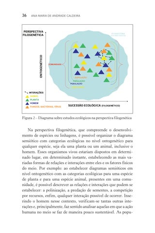 36  Ana Maria de Andrade Caldeira
ONTOGENONTOGENÉÉTICOTICO
PERSPECTIVA
FILOGENÉTICA
SUCESSÃO ECOLSUCESSÃO ECOLÓÓGICAGICA (FILOGEN(FILOGENÉÉTICO)TICO)
POPULAPOPULAÇÇÃOÃO
POPULAPOPULAÇÇÃOÃO
POPULAPOPULAÇÇÃOÃO
COMUNIDADECOMUNIDADE
ECOSSISTEMA
(FATORES FÍSICOS)
HOMEMHOMEM
PLANTAPLANTA
ANIMALANIMAL
POPULAPOPULAÇÇÃOÃO
FUNGOS, BACTFUNGOS, BACTÉÉRIAS, VRIAS, VÍÍRUSRUS
INTERAINTERAÇÇÕESÕES
Figura 2 – Diagrama sobre estudos ecológicos na perspectiva filogenética
Na perspectiva filogenética, que compreende o desenvolvi‑
mento de espécies ou linhagens, é possível organizar o diagrama
semiótico com categorias ecológicas no nível ontogenético para
qualquer espécie, seja ela uma planta ou um animal, inclusive o
homem. Esses organismos vivos estariam dispostos em determi‑
nado lugar, em determinado instante, estabelecendo as mais va‑
riadas formas de relações e interações entre eles e os fatores físicos
do meio. Por exemplo: ao estabelecer diagramas semióticos em
nível ontogenético com as categorias ecológicas para uma espécie
de planta e para uma espécie animal, presentes em uma comu­
nidade, é possível descrever as relações e interações que podem se
estabelecer: a polinização, a predação de sementes, a competição
por recursos, enfim, qualquer interação possível de ocorrer. Inse‑
rindo o homem nesse contexto, verificam­‑se tantas outras inte­
rações e, principalmente, faz sentido analisar aquelas em que a ação
humana no meio se faz de maneira pouco sustentável. As popu­
 