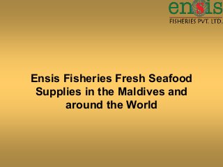 Ensis Fisheries Fresh Seafood
Supplies in the Maldives and
around the World
 