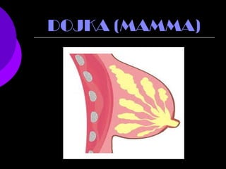 DOJKA (MAMMA)
 