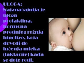 ULOGA:
Najzna ajnija ječ
uloga
prolaktina,
hormona
prednjeg re njaž
hipofize, koja
dovodi do
lu enja mlekač
(laktacije) kada
se dete rodi.
 