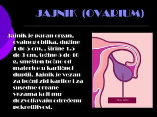 JAJNIK (OVARIUM)
Jajnik je paran organ,
ovalnog oblika, du inež
1 do 5 cm, , širine 1.5
do 3 cm, te ine 5 do 10ž
g, smešten bo no odč
materice u karli nojč
duplji. Jajnik je vezan
za bo ni zid karlice i zač
susedne organe
vezama koji mu
dozvoljavaju odre enuđ
pokretljivost.
 