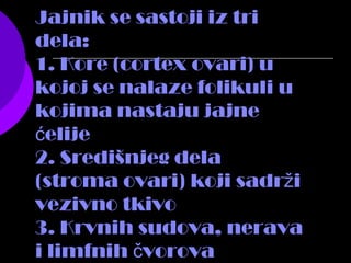Jajnik se sastoji iz tri
dela:
1. Kore (cortex ovari) u
kojoj se nalaze folikuli u
kojima nastaju jajne
elijeć
2. Središnjeg dela
(stroma ovari) koji sadr iž
vezivno tkivo
3. Krvnih sudova, nerava
i limfnih vorovač
 