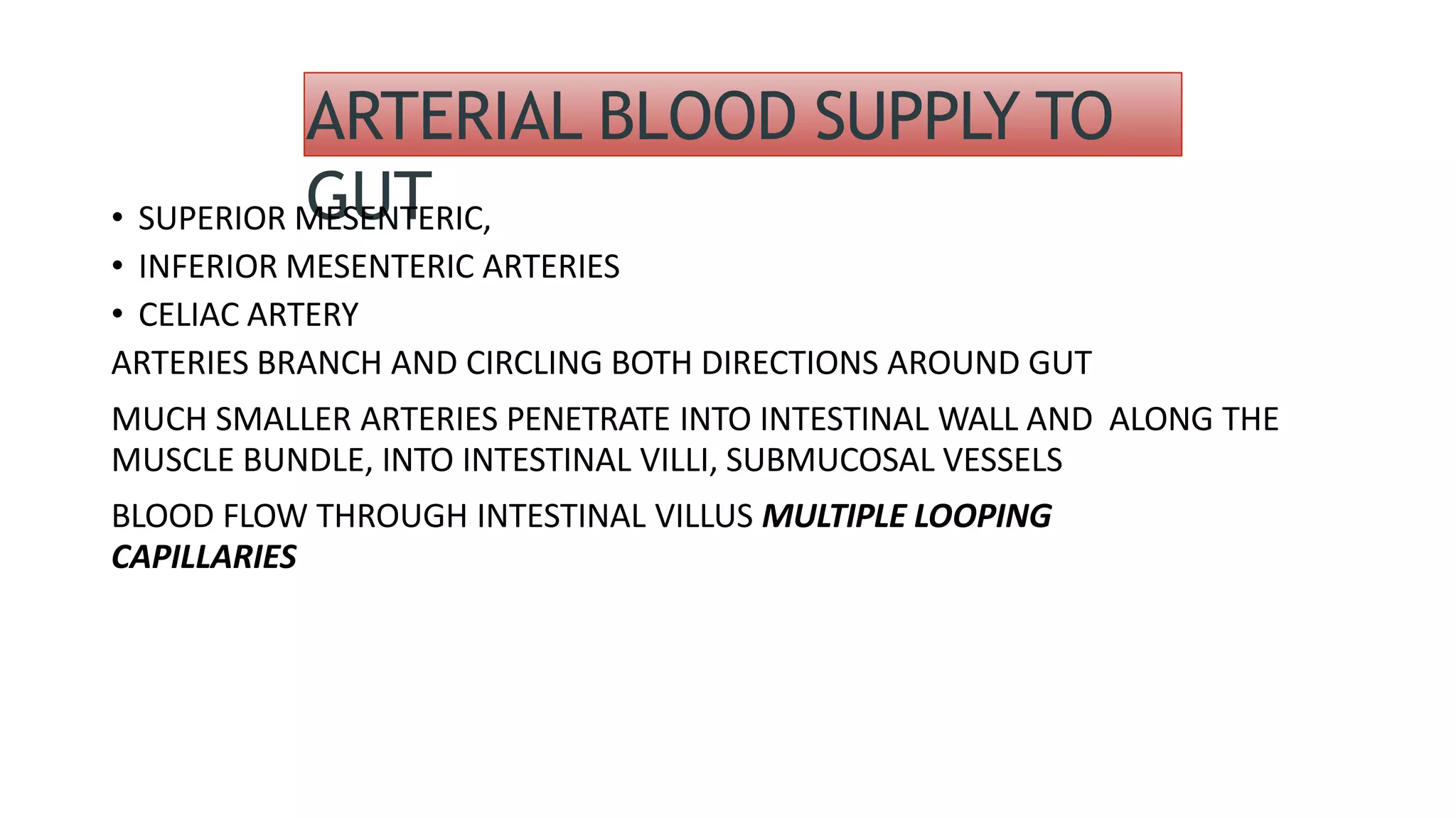 ARTERIAL BLOOD SUPPLY TO
GUT
• SUPERIOR MESENTERIC,
• INFERIOR MESENTERIC ARTERIES
• CELIAC ARTERY
ARTERIES BRANCH AND CIRCLING BOTH DIRECTIONS AROUND GUT
MUCH SMALLER ARTERIES PENETRATE INTO INTESTINAL WALL AND ALONG THE
MUSCLE BUNDLE, INTO INTESTINAL VILLI, SUBMUCOSAL VESSELS
BLOOD FLOW THROUGH INTESTINAL VILLUS MULTIPLE LOOPING
CAPILLARIES
 