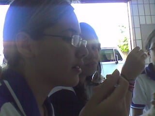 Dia Do Sorvete e outros- Ensps