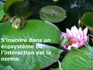 CC BY-NC DC Smith, Flickr 
 