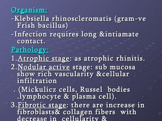Organism: -Klebsiella rhinoscleromatis (gram-ve Frish bacillus) -Infection requires long &intiamate contact. Pathology: 1. Atrophic stage : as atrophic rhinitis. 2. Nodular active  stage: sub mucosa show rich vascularity &cellular infiltration . (Mickulicz cells, Russel  bodies .lymphocyte & plasma cell). 3. Fibrotic stage : there are increase in fibroblasts& collagen fibers  with decrease in  cellularity & vascularity.  