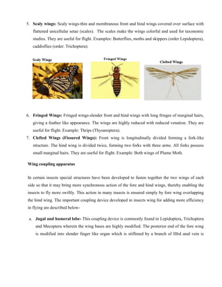 ENT-121-Fundamentals-of-Entomology.pdf notes | PDF