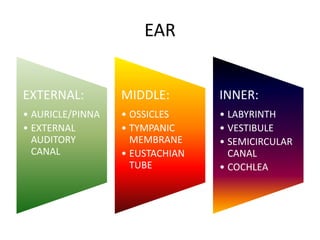 EAR
EXTERNAL:
• AURICLE/PINNA
• EXTERNAL
AUDITORY
CANAL
MIDDLE:
• OSSICLES
• TYMPANIC
MEMBRANE
• EUSTACHIAN
TUBE
INNER:
• LABYRINTH
• VESTIBULE
• SEMICIRCULAR
CANAL
• COCHLEA
 