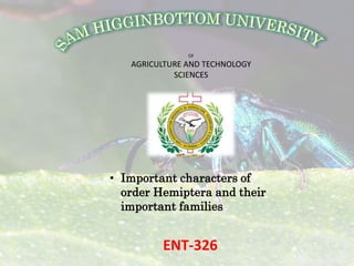 OF
AGRICULTURE AND TECHNOLOGY
SCIENCES
• Important characters of
order Hemiptera and their
important families
ENT-326
 