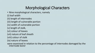 Morphological Characters
• Nine morphological characters, namely
(i) leaf width
(ii) length of internodes
(iii) length of vulnerable portion
(iv) width of vulnerable portion
(v) length of stalk,
(vi) colour of leaves
(vii) nature of leaf sheath
(viii) colour of stalk
(ix) nature of leaves
were examined in relation to the percentage of internodes damaged by the
internode borer
 