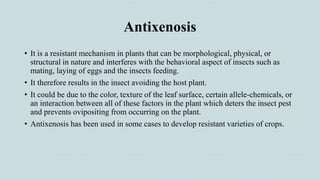 Antixenosis
• It is a resistant mechanism in plants that can be morphological, physical, or
structural in nature and interferes with the behavioral aspect of insects such as
mating, laying of eggs and the insects feeding.
• It therefore results in the insect avoiding the host plant.
• It could be due to the color, texture of the leaf surface, certain allele-chemicals, or
an interaction between all of these factors in the plant which deters the insect pest
and prevents ovipositing from occurring on the plant.
• Antixenosis has been used in some cases to develop resistant varieties of crops.
 