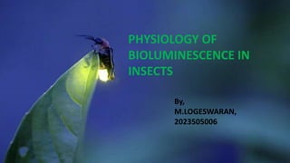 PHYSIOLOGY OF
BIOLUMINESCENCE IN
INSECTS
By,
M.LOGESWARAN,
2023505006
 