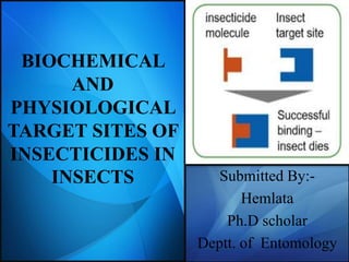 BIOCHEMICAL
AND
PHYSIOLOGICAL
TARGET SITES OF
INSECTICIDES IN
INSECTS Submitted By:-
Hemlata
Ph.D scholar
Deptt. of Entomology
 