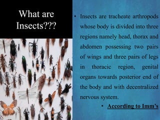 What are
Insects???
• Insects are tracheate arthropods
whose body is divided into three
regions namely head, thorax and
abdomen possessing two pairs
of wings and three pairs of legs
in thoracic region, genital
organs towards posterior end of
the body and with decentralized
nervous system.
• According to Imm’s
 