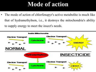 • The mode of action of chlorfenapyr's active metabolite is much like
that of hydramethylnon, i.e., it destroys the mitochondria's ability
to supply energy to meet the insect's needs.
Mode of action
 