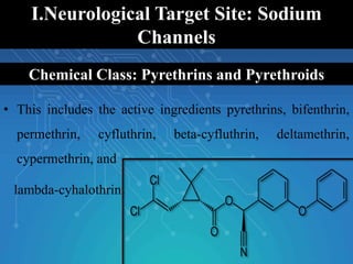 I.Neurological Target Site: Sodium
Channels
• This includes the active ingredients pyrethrins, bifenthrin,
permethrin, cyfluthrin, beta-cyfluthrin, deltamethrin,
cypermethrin, and
lambda-cyhalothrin.
Chemical Class: Pyrethrins and Pyrethroids
 