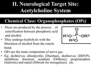 II. Neurological Target Site:
Acetylcholine System
• These are produced by the process of
esterification between phosphoric acid
and alcohol.
• They undergo hydrolysis with the
liberation of alcohol from the esteric
bond.
• OPs are the main components of nerve gas.
• Eg; dichlorvos chlorpyrifos (Dursban), dichlorvos (DDVP),
malathion, diazinon, acephate (Orthene), propetamphos
(Safrotin) and naled (Dibrom for mosquitoes). etc.
Chemical Class: Organophosphates (OPs)
 
