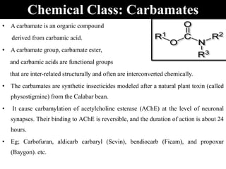 • A carbamate is an organic compound
derived from carbamic acid.
• A carbamate group, carbamate ester,
and carbamic acids are functional groups
that are inter-related structurally and often are interconverted chemically.
• The carbamates are synthetic insecticides modeled after a natural plant toxin (called
physostigmine) from the Calabar bean.
• It cause carbamylation of acetylcholine esterase (AChE) at the level of neuronal
synapses. Their binding to AChE is reversible, and the duration of action is about 24
hours.
• Eg; Carbofuran, aldicarb carbaryl (Sevin), bendiocarb (Ficam), and propoxur
(Baygon). etc.
Chemical Class: Carbamates
 