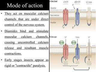 Mode of action
• They act on muscular calcium
channels that are under direct
control of the nervous system.
• Diamides bind and stimulate
muscular calcium channels,
causing uncontrolled calcium
release and resultant muscle
contractions.
• Early stages insects appear as
rigid or "contractile" paralysis.
 