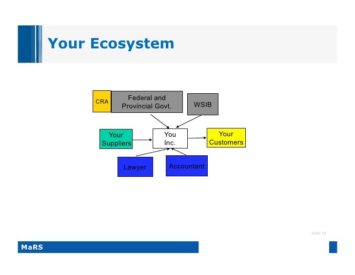 Basic Nuts and Bolts of Building a Business