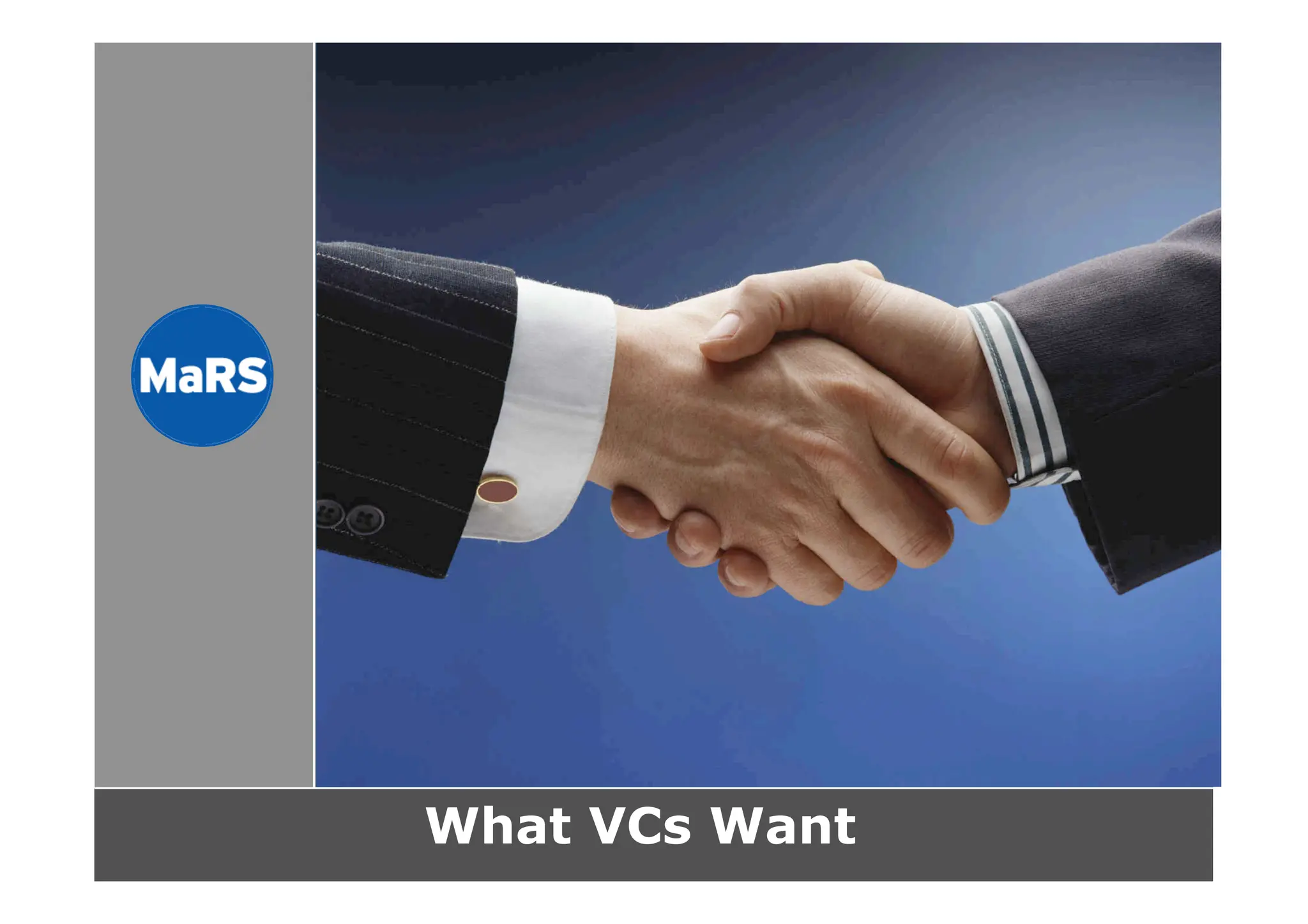 What VCs Want (and why they call it 'Vulture Capital')