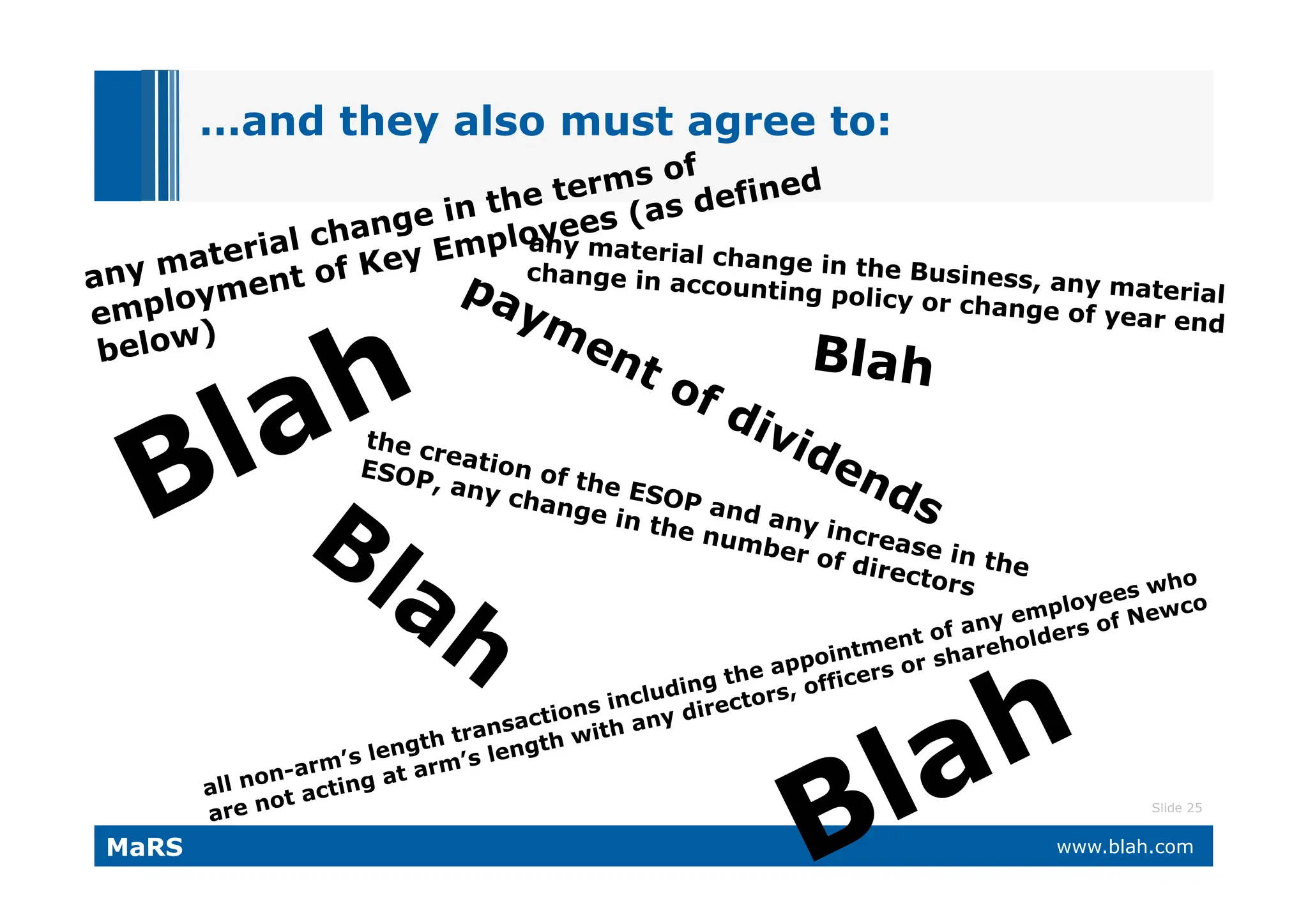 What VCs Want (and why they call it 'Vulture Capital')