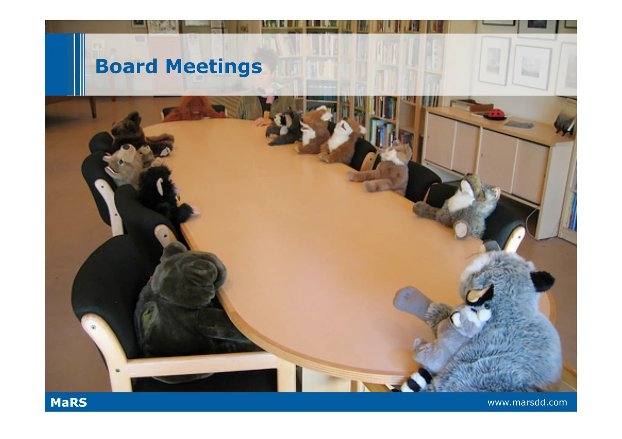 What VCs Want (and why they call it 'Vulture Capital')