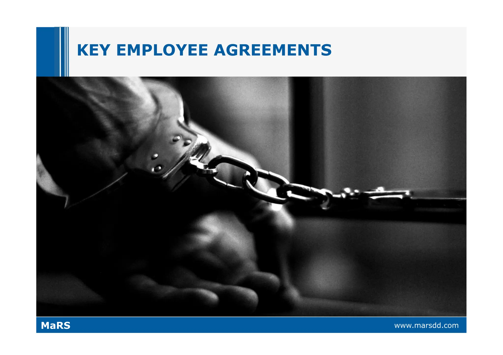 What VCs Want (and why they call it 'Vulture Capital')