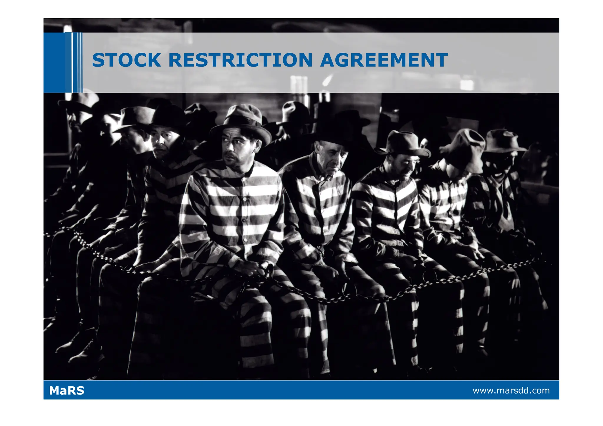 What VCs Want (and why they call it 'Vulture Capital')