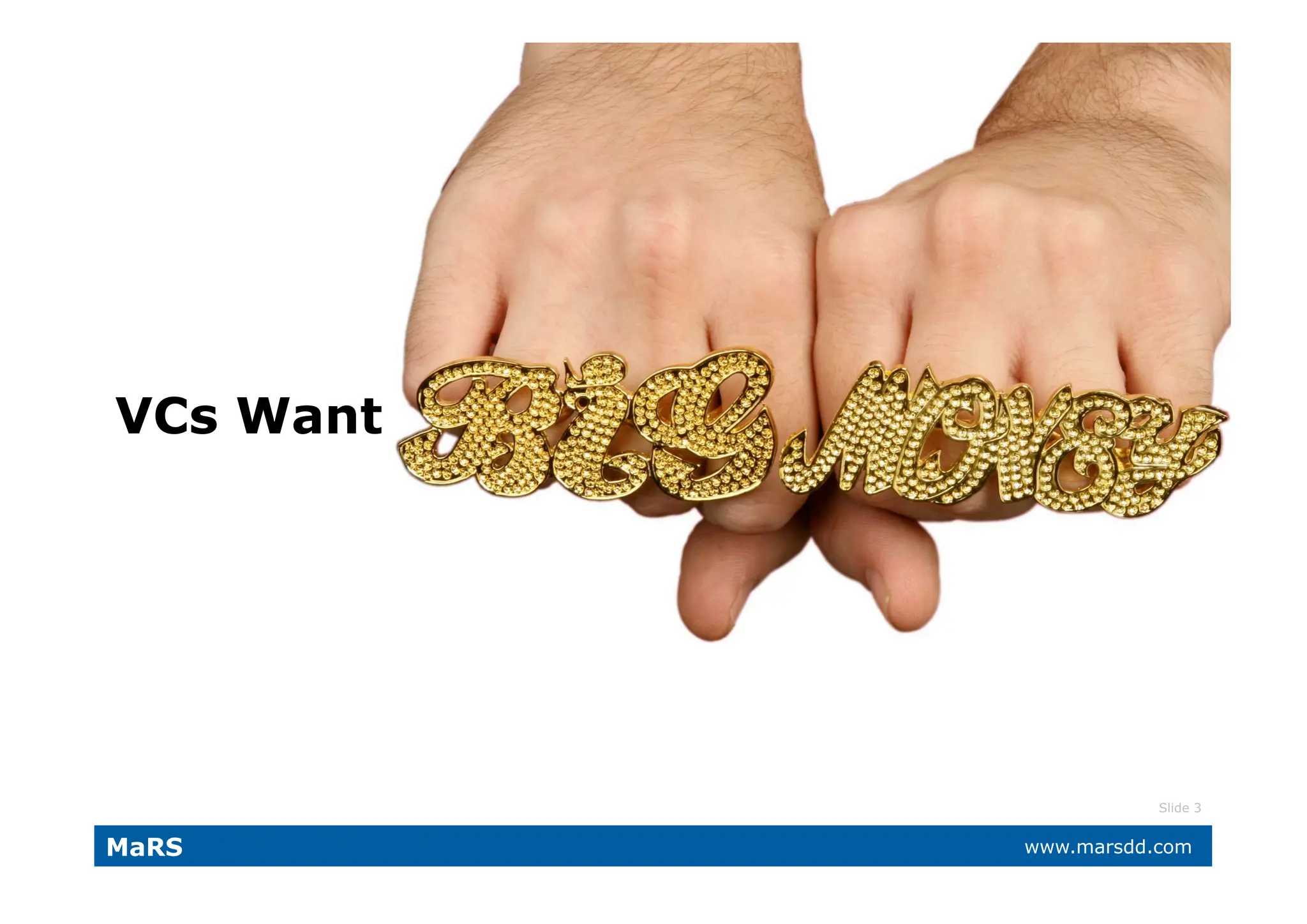 What VCs Want (and why they call it 'Vulture Capital')