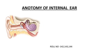 Anatomy of Inner Ear | PPTX