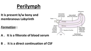 Periymph Anatomy of Inner Ear | PPTX