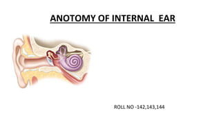 ANOTOMY OF INTERNAL EAR
ROLL NO -142,143,144
 