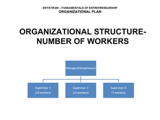 ORGANIZATIONAL STRUCTURE-NUMBER OF WORKERS 