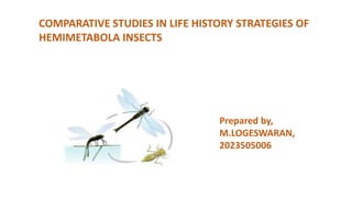 COMPARATIVE STUDIES IN LIFE HISTORY STRATEGIES OF
HEMIMETABOLA INSECTS
Prepared by,
M.LOGESWARAN,
2023505006
 