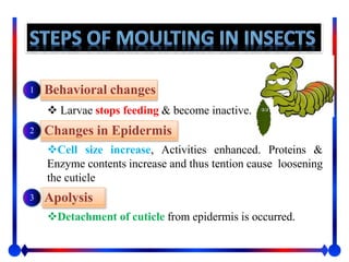 Physiology of Integuments and moulting in insects | PPTX