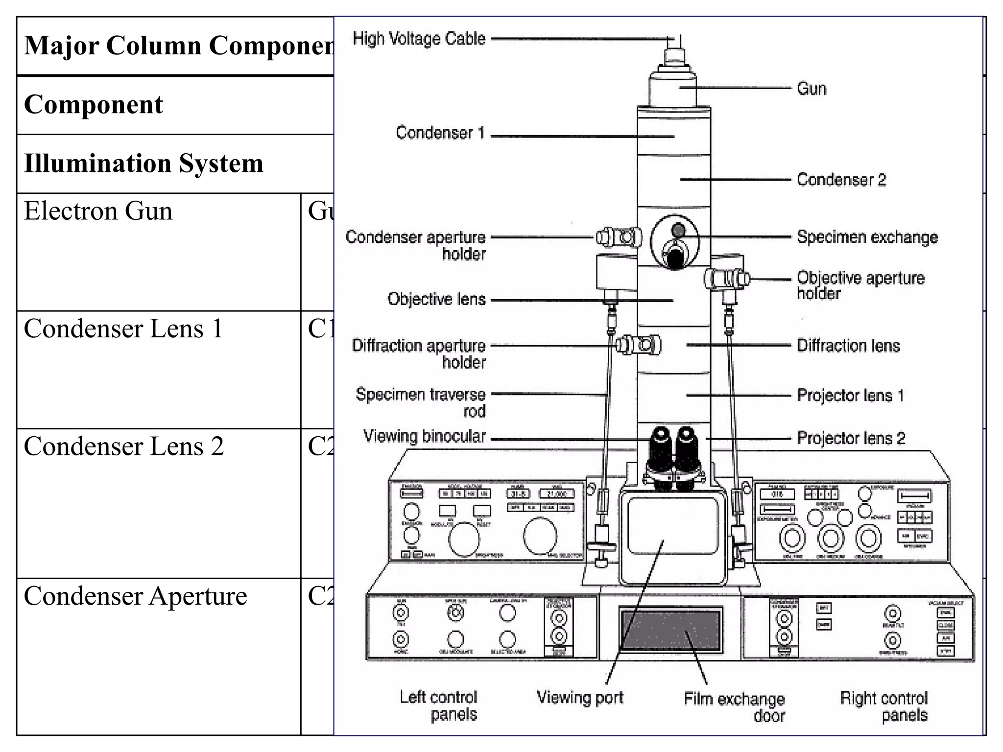 Major Column Components of the TEM*
Component Synonyms Function of Components
Illumination System
Electron Gun Gun, Source Generates electrons and provides first
coherent crossover of electron beam
Condenser Lens 1 C1, Spot Size Determines smallest illumination spot
size on specimen
Condenser Lens 2 C2, Brightness Varies amount of illumination on
specimen—in combination with C1
Condenser Aperture C2 Aperture Reduces spherical aberration, helps
control amount of illumination striking
specimen
 