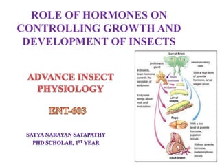 ROLE OF HORMONES ON
CONTROLLING GROWTH AND
DEVELOPMENT OF INSECTS
 