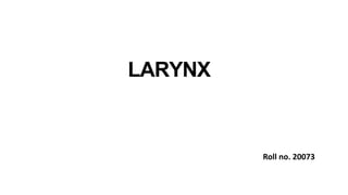 LARYNX
Roll no. 20073
 